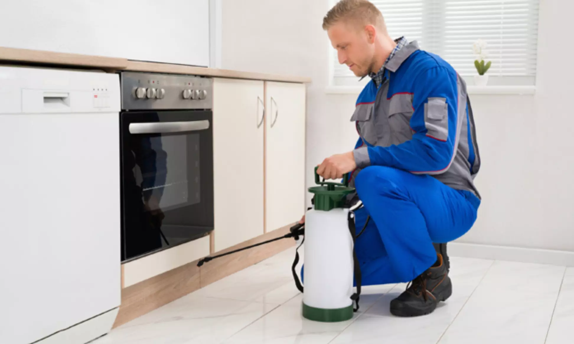 What a Cockroach Exterminator Wishes You Knew About Hidden Infestations?